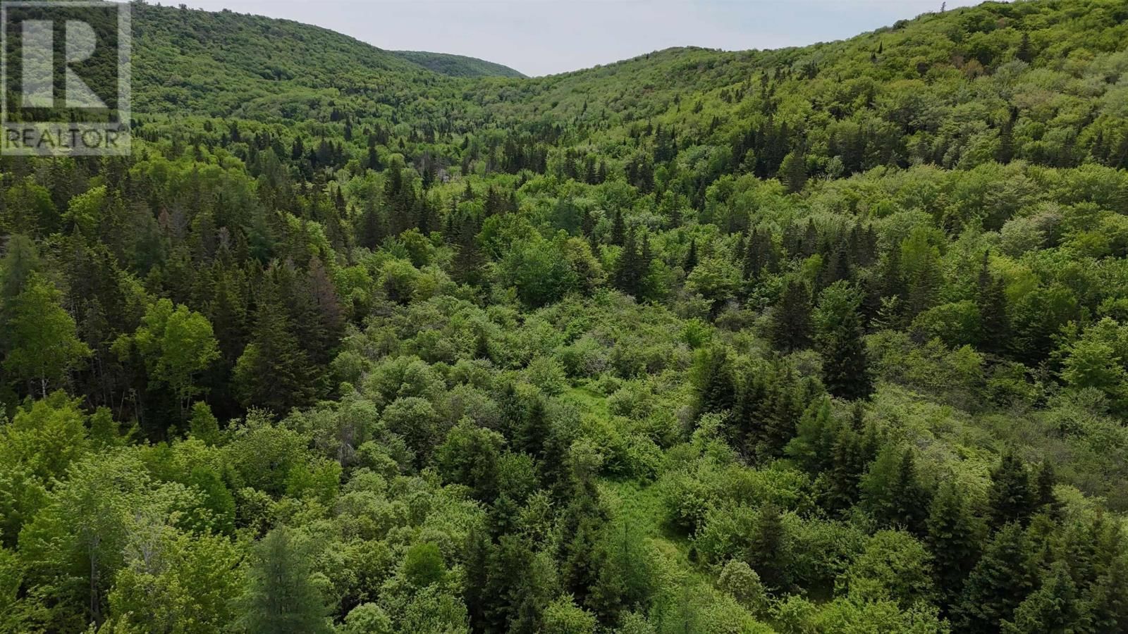 101 FERGUSON ROAD Image 15