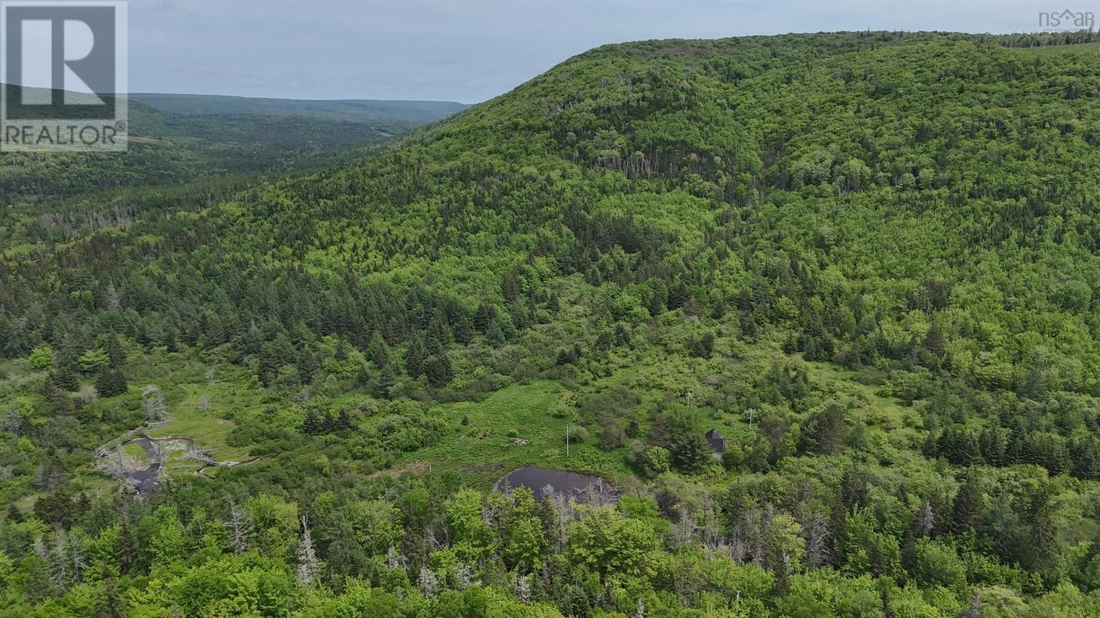 101 FERGUSON ROAD Image 16