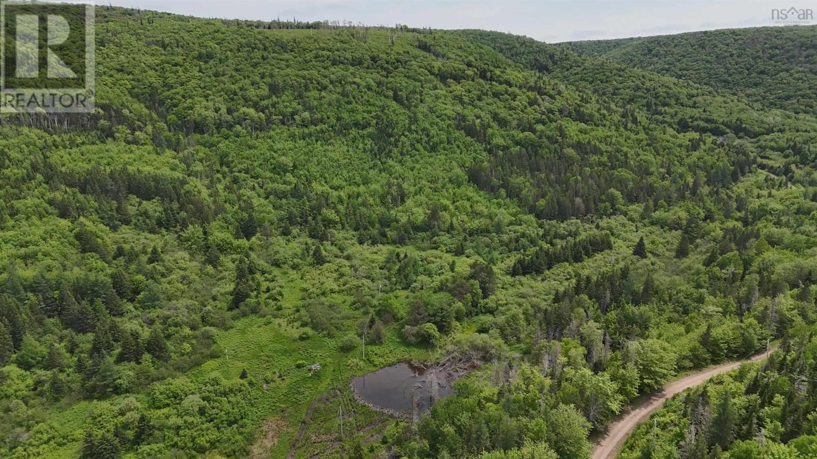 101 FERGUSON ROAD Image 17