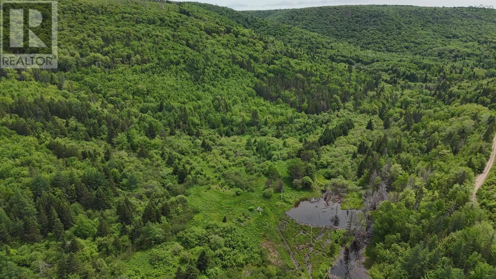 101 FERGUSON ROAD Image 18