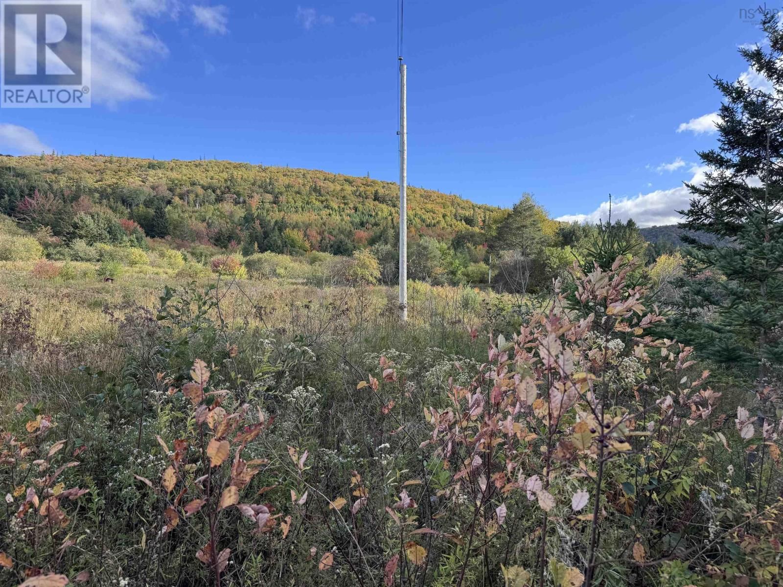 101 FERGUSON ROAD Image 20