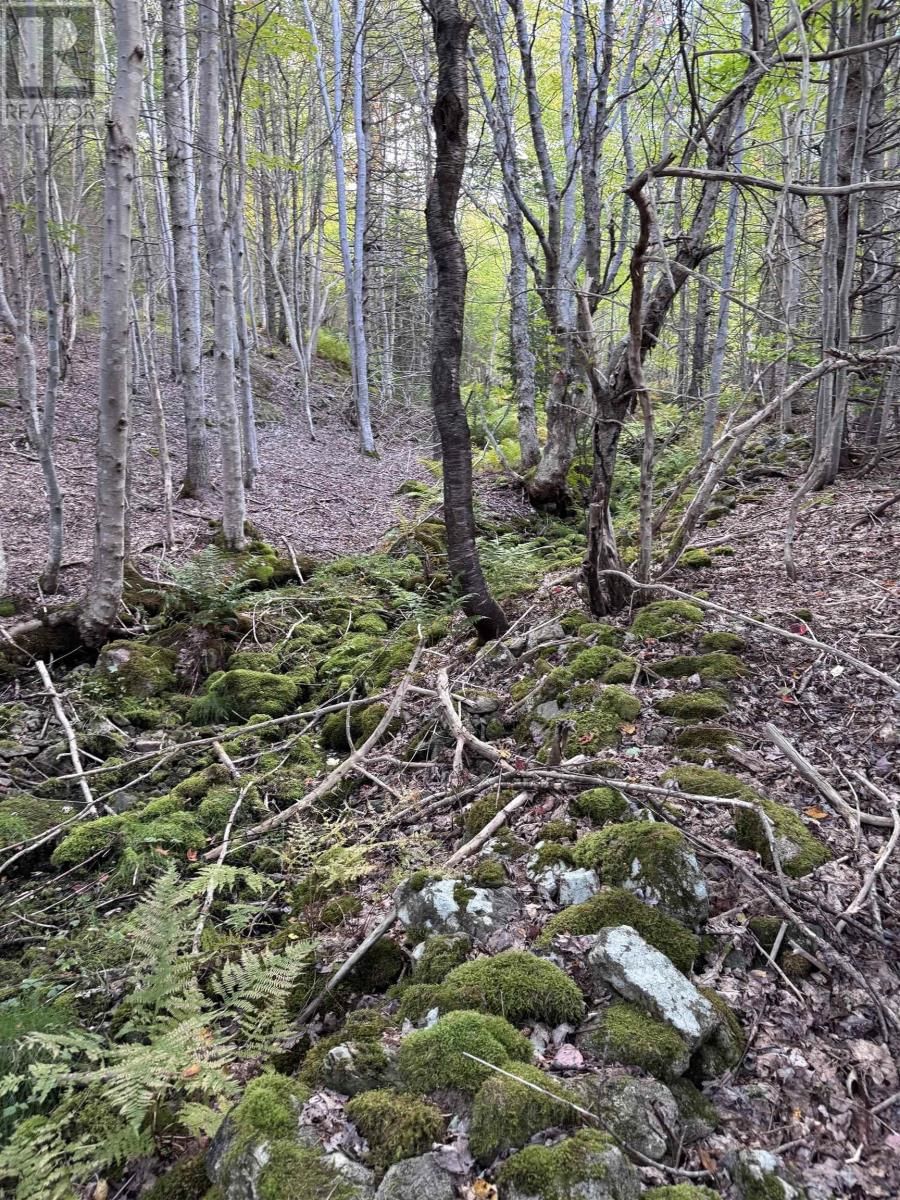 101 FERGUSON ROAD Image 24