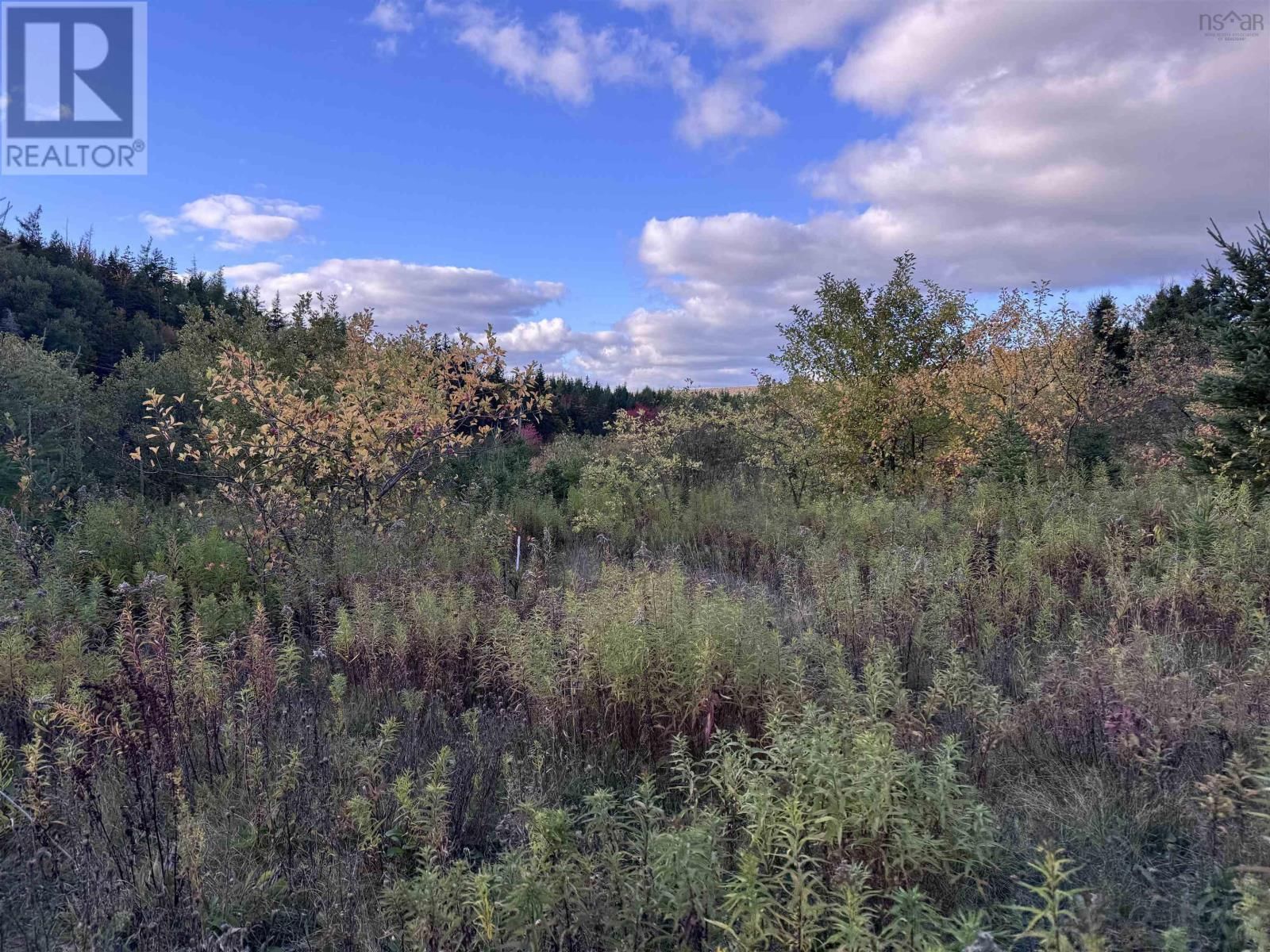 101 FERGUSON ROAD Image 25