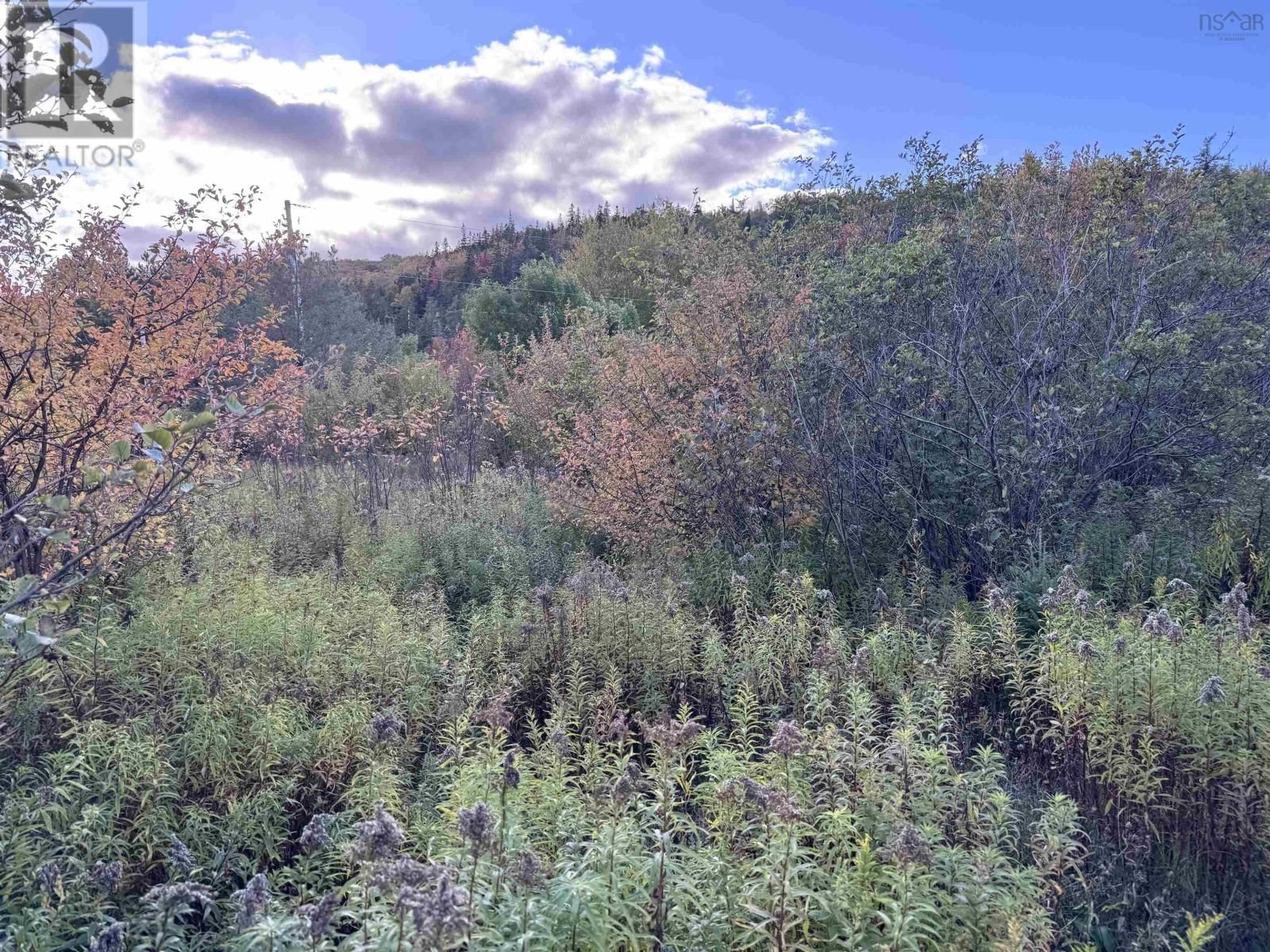 101 FERGUSON ROAD Image 26