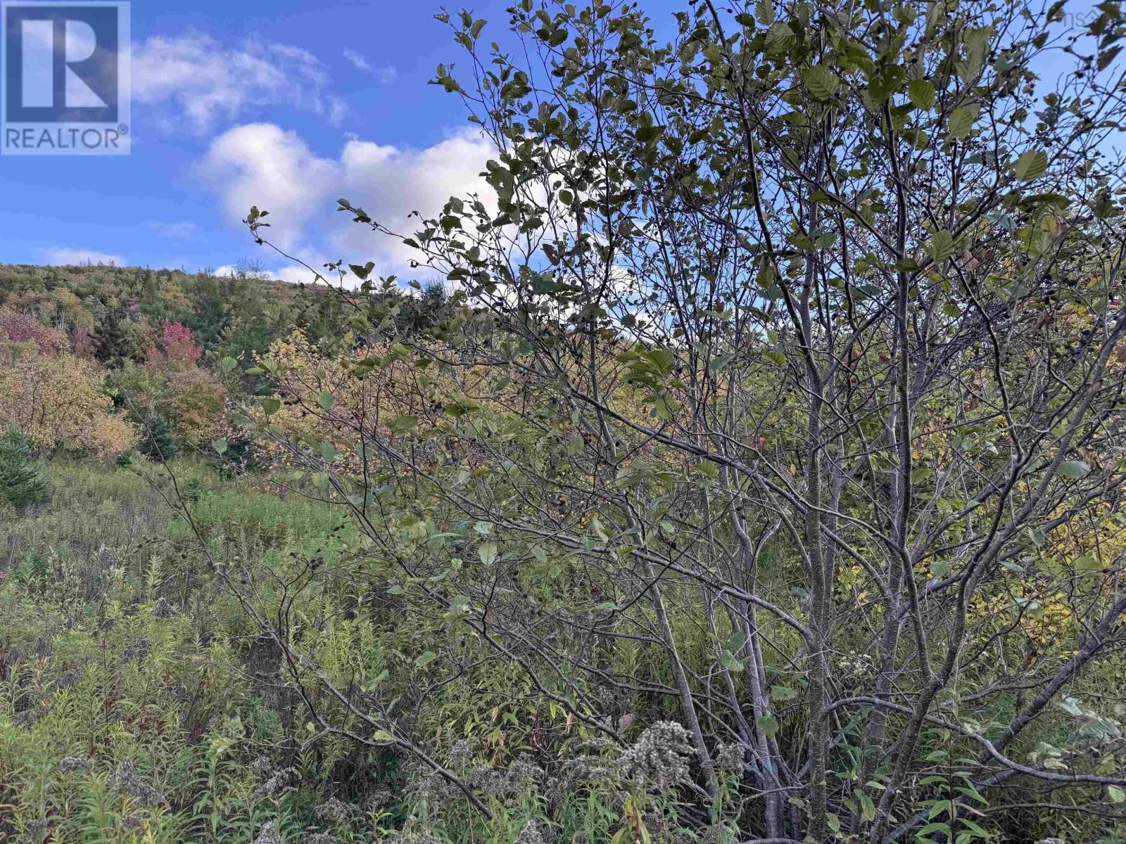 101 FERGUSON ROAD Image 27