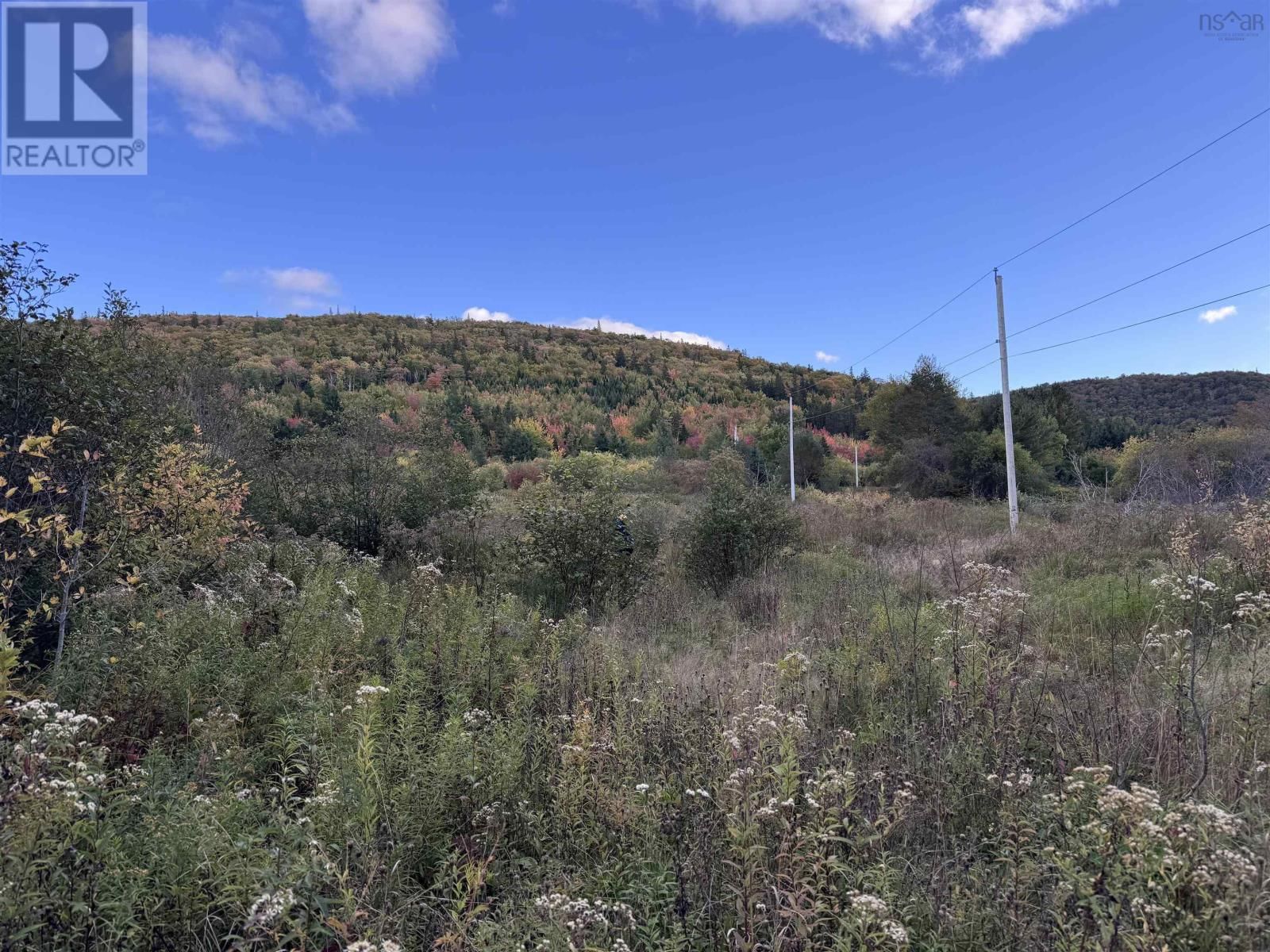 101 FERGUSON ROAD Image 28