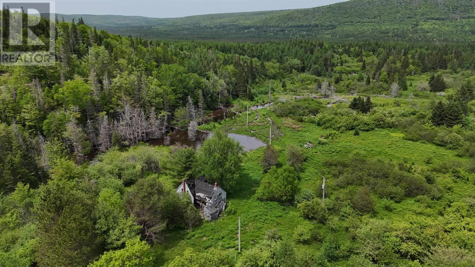 101 FERGUSON ROAD Image 4