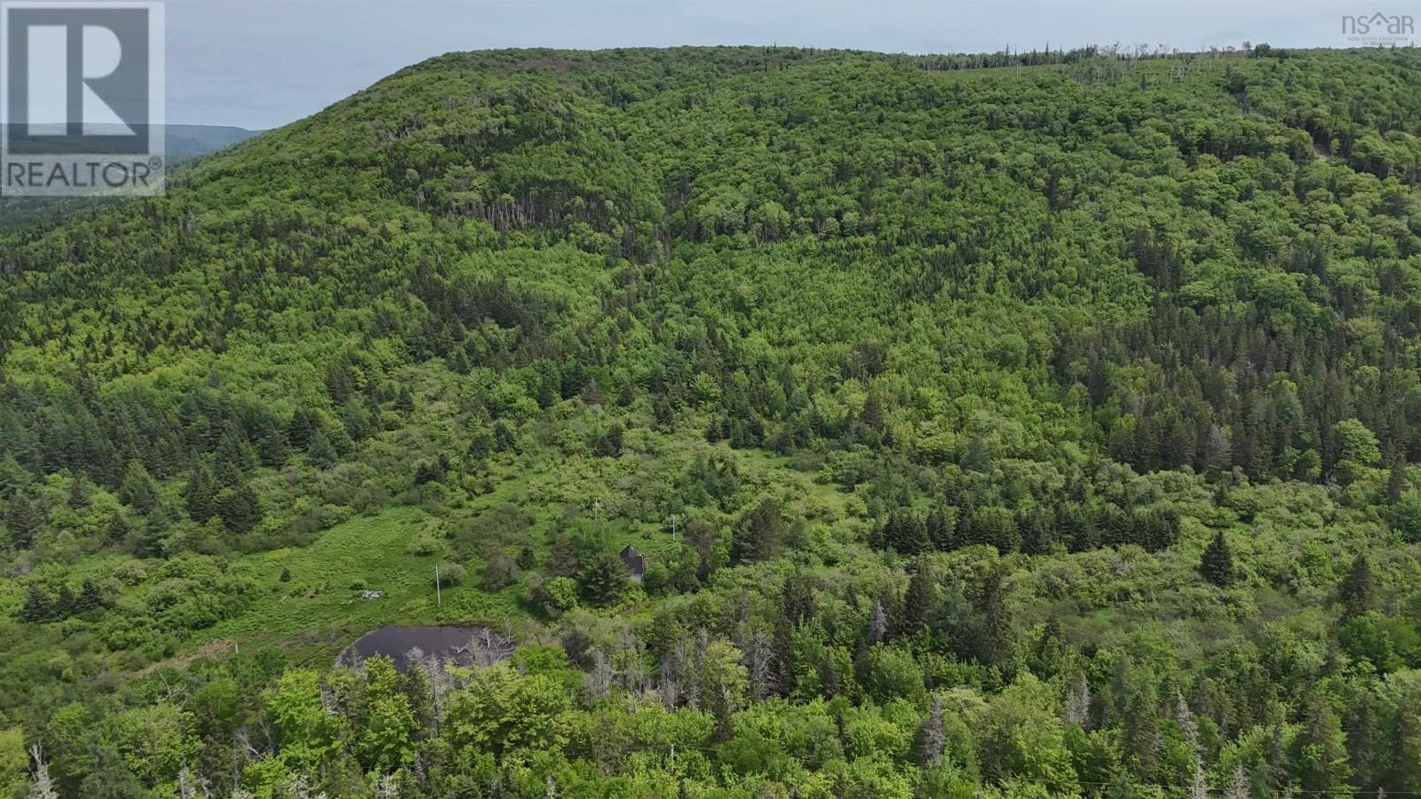 101 FERGUSON ROAD Image 5