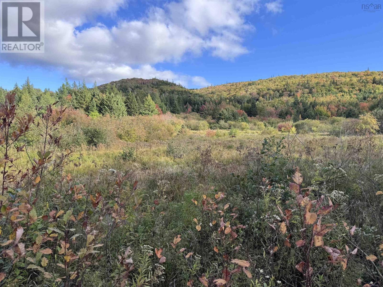 101 FERGUSON ROAD Image 6