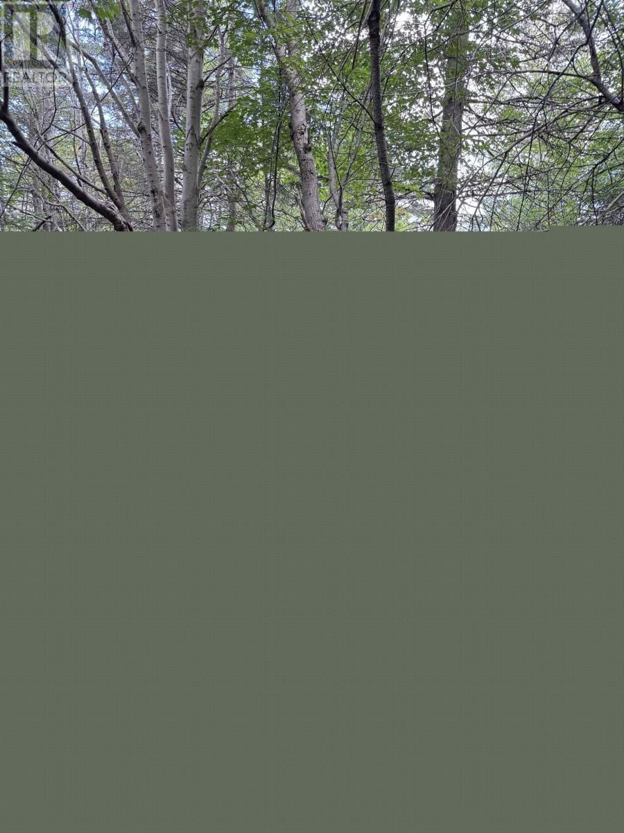 101 FERGUSON ROAD Image 8