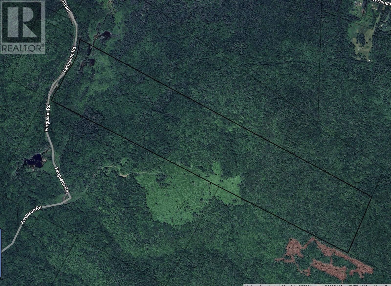 101 FERGUSON ROAD Image 9