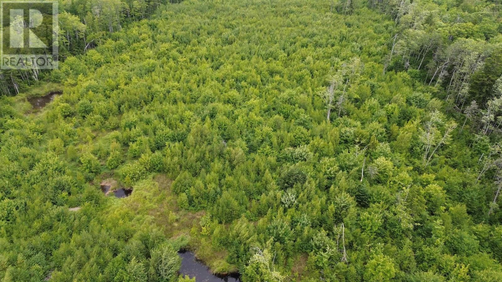 8 PECK MEADOW ROAD Image 6