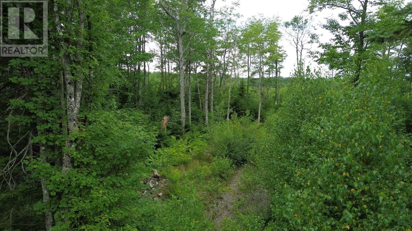 8 PECK MEADOW ROAD Image 8