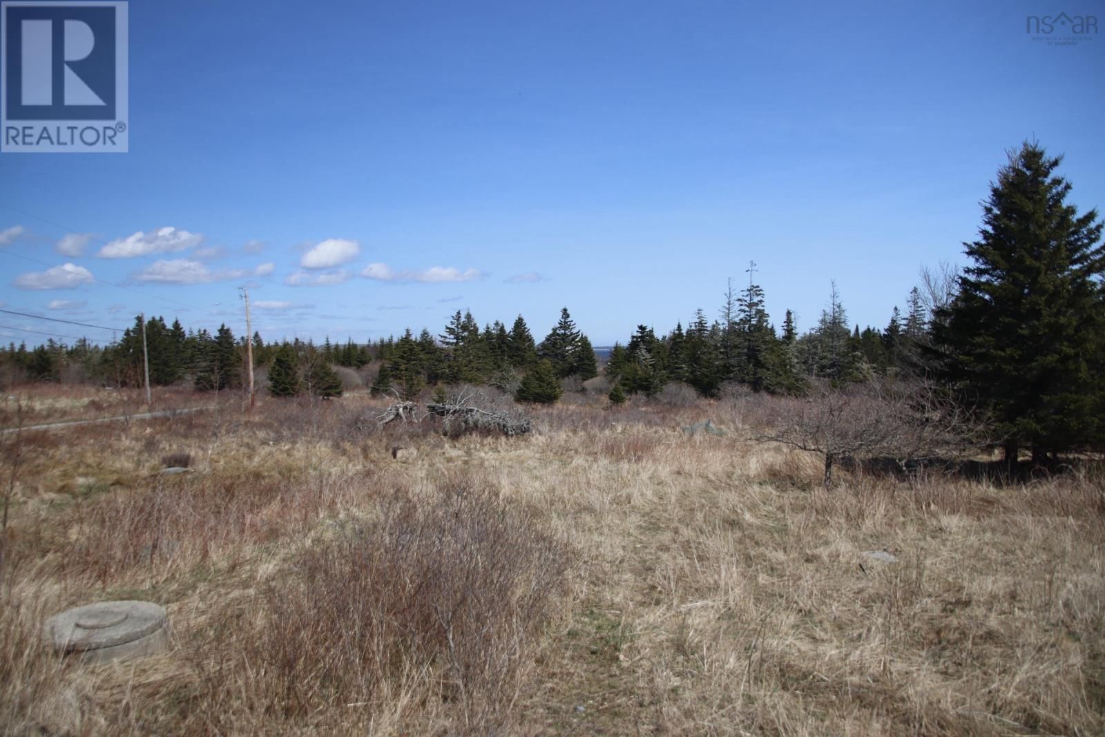 1057 STONEY ISLAND ROAD Image 6