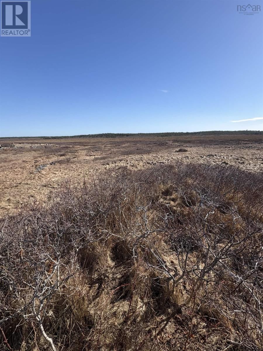 Lot PID#8006221 BACCARO ROAD Image 1