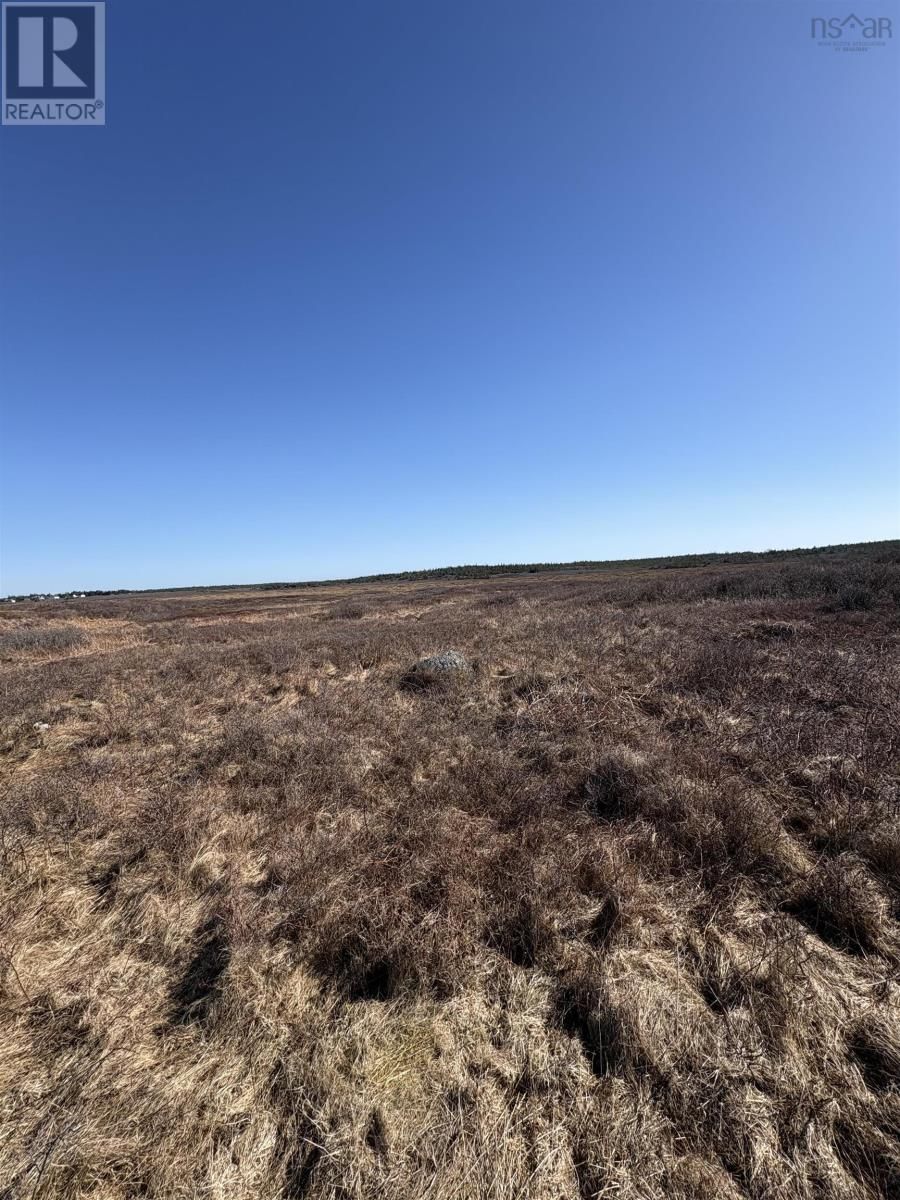 Lot PID#8006221 BACCARO ROAD Image 5