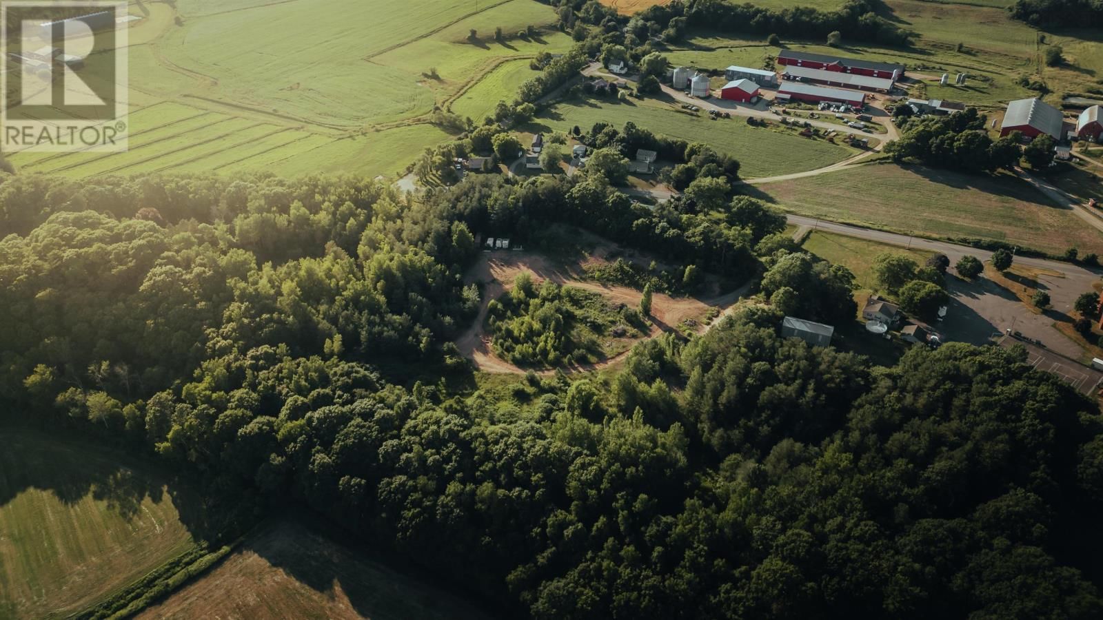 BELCHER STREET Image 6