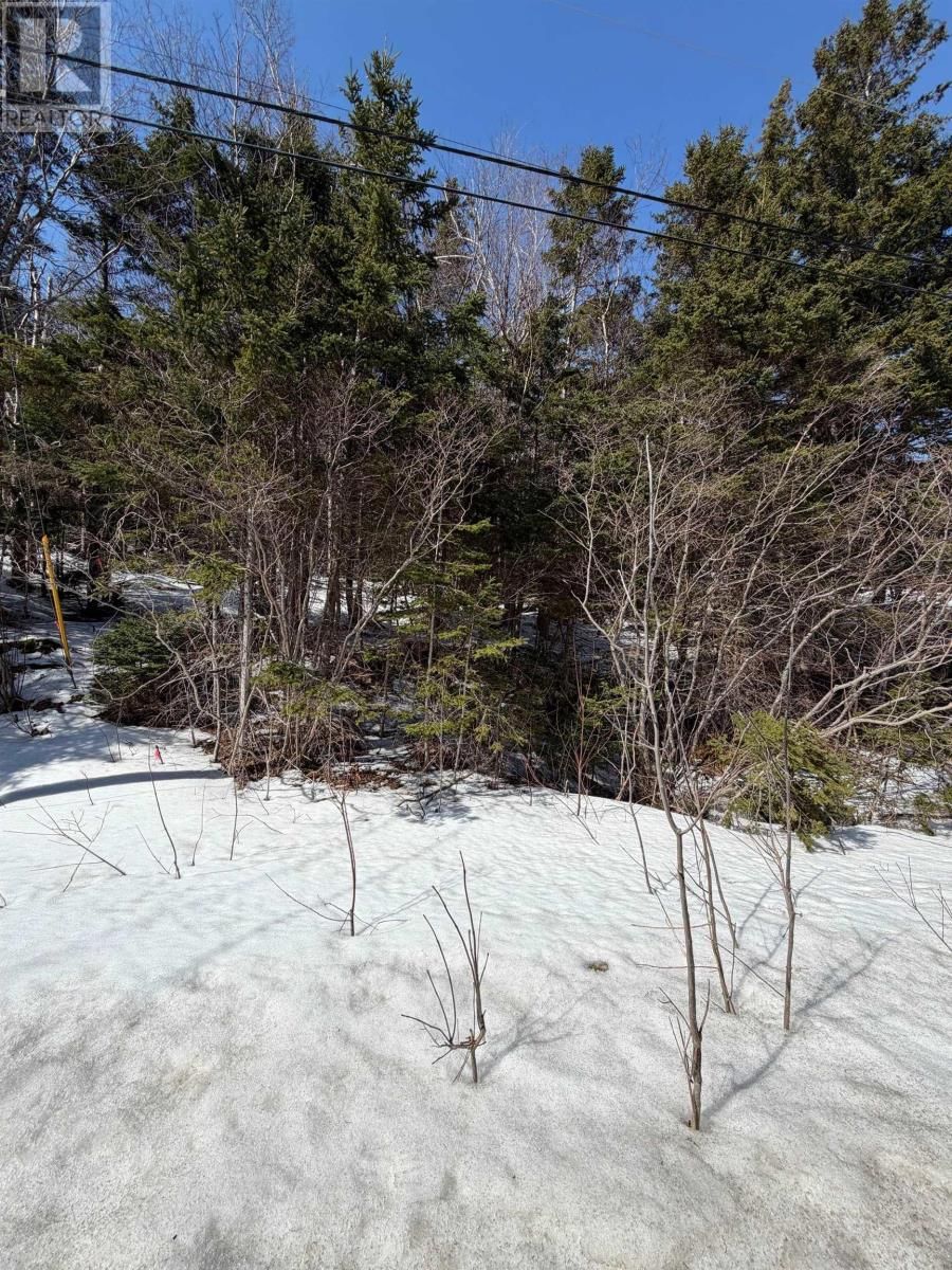 19 Scotsville Rd, Kenloch, Nova Scotia B0E 1N0