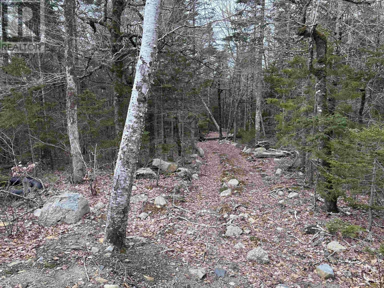 443 TURNER POINT DRIVE Image 14