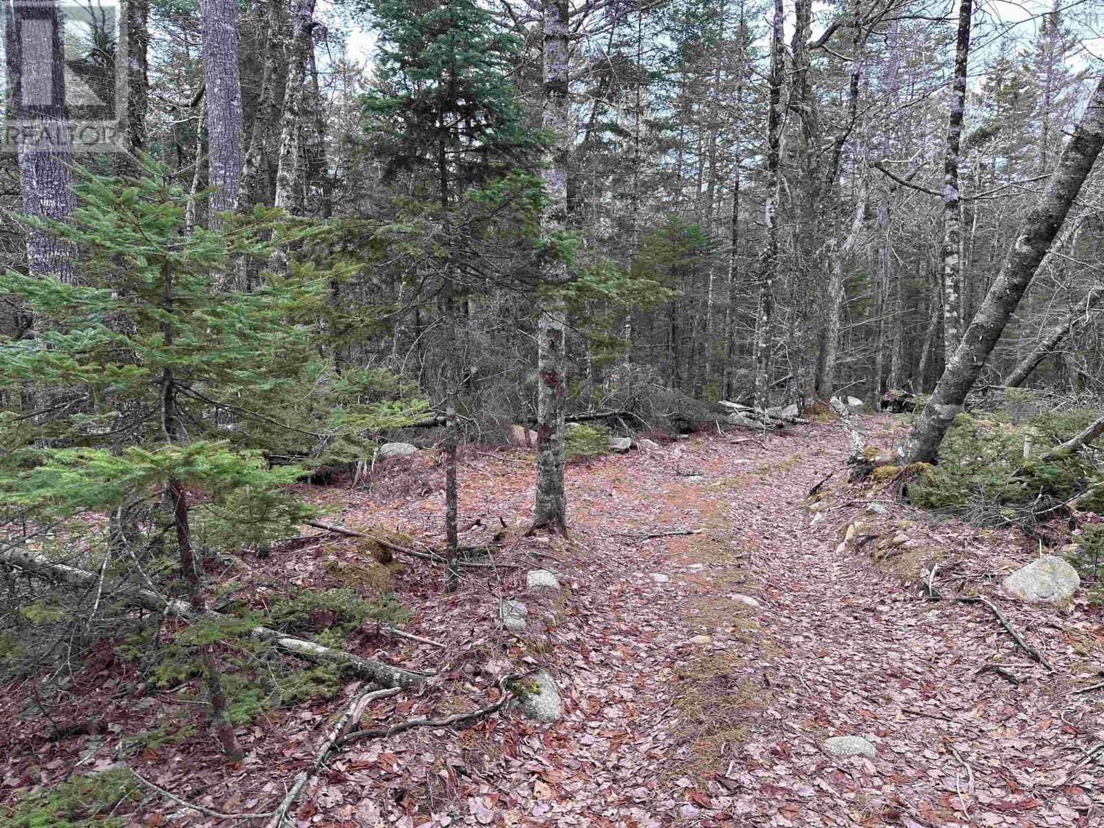 443 TURNER POINT DRIVE Image 15