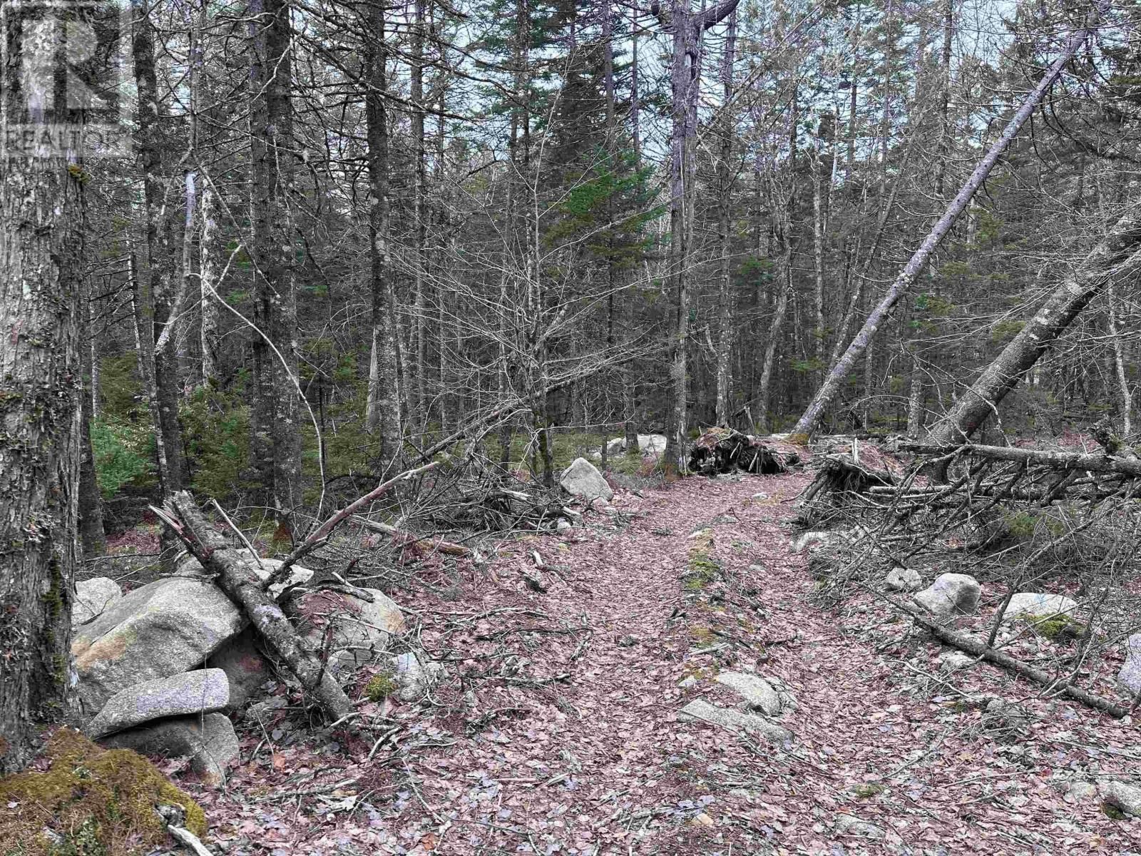 443 TURNER POINT DRIVE Image 16