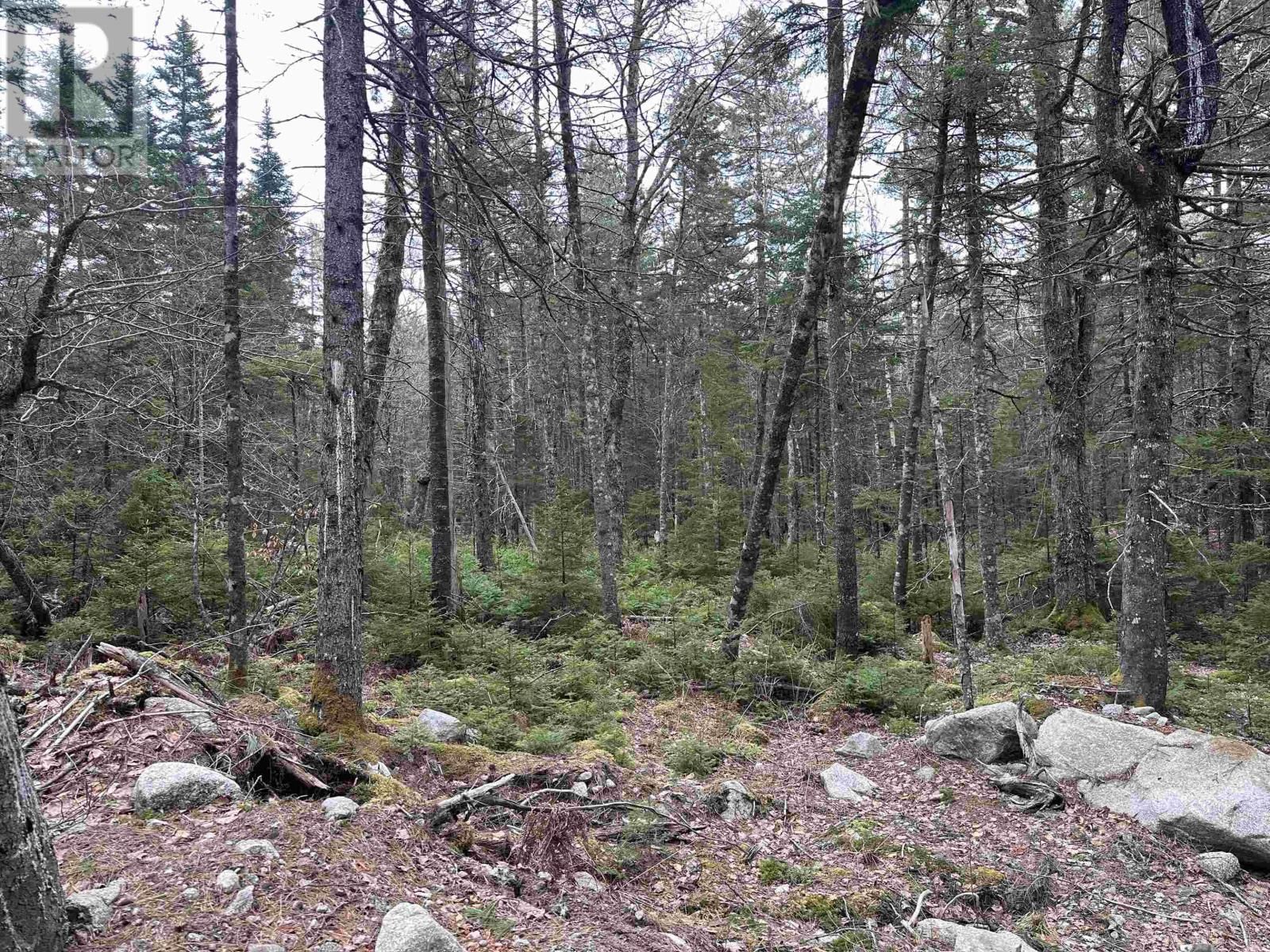 443 TURNER POINT DRIVE Image 18