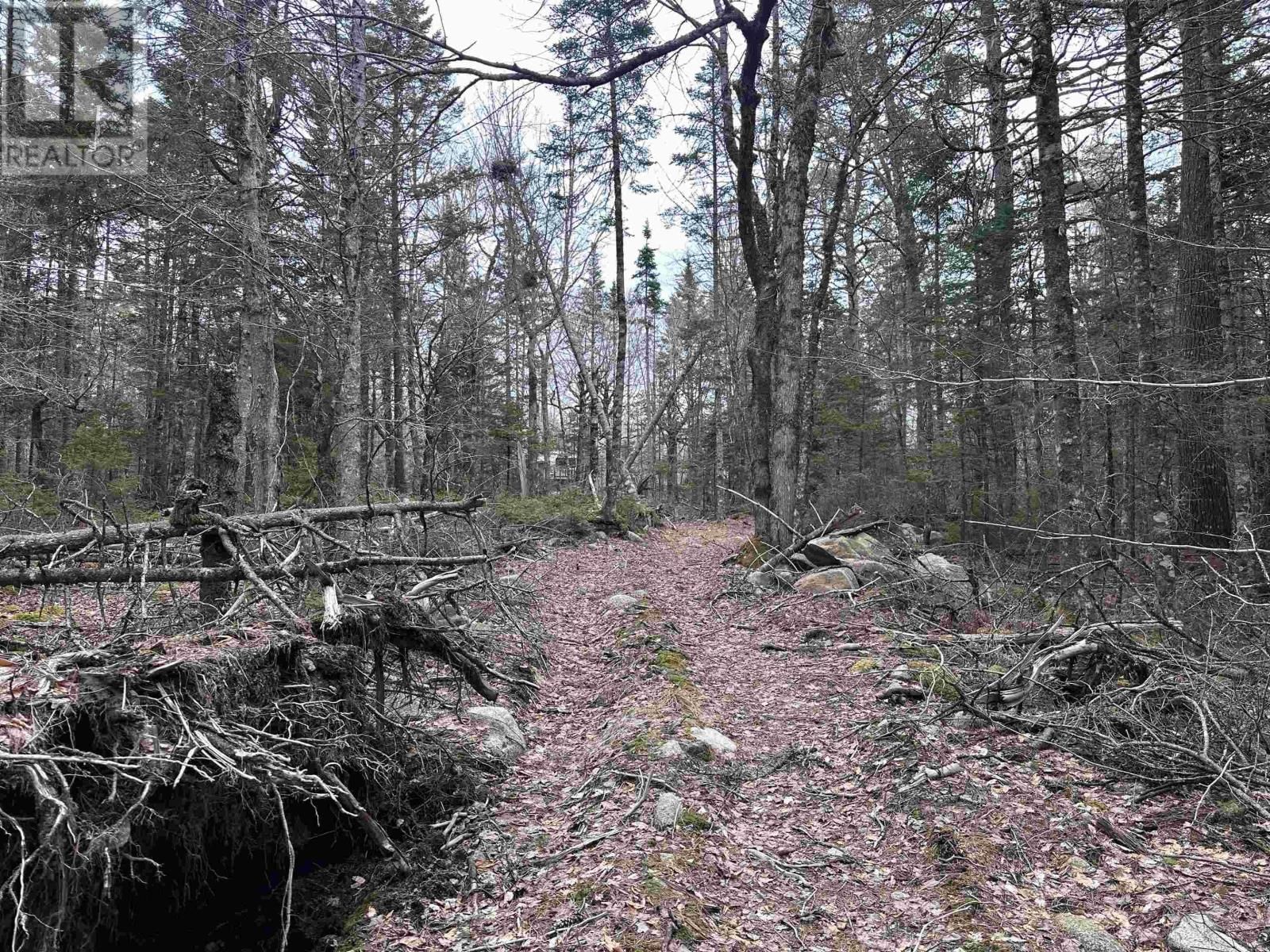 443 TURNER POINT DRIVE Image 19