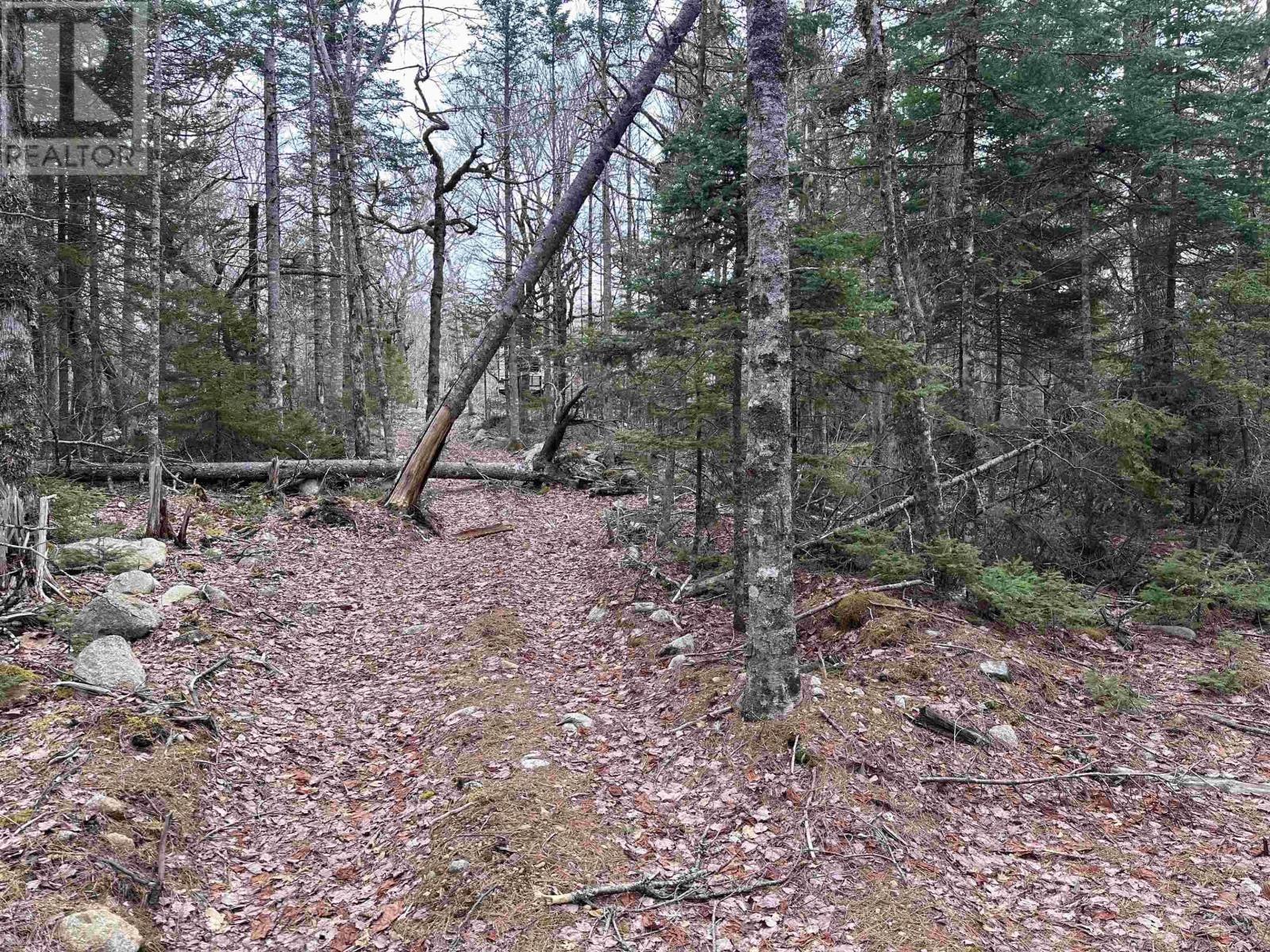 443 TURNER POINT DRIVE Image 20