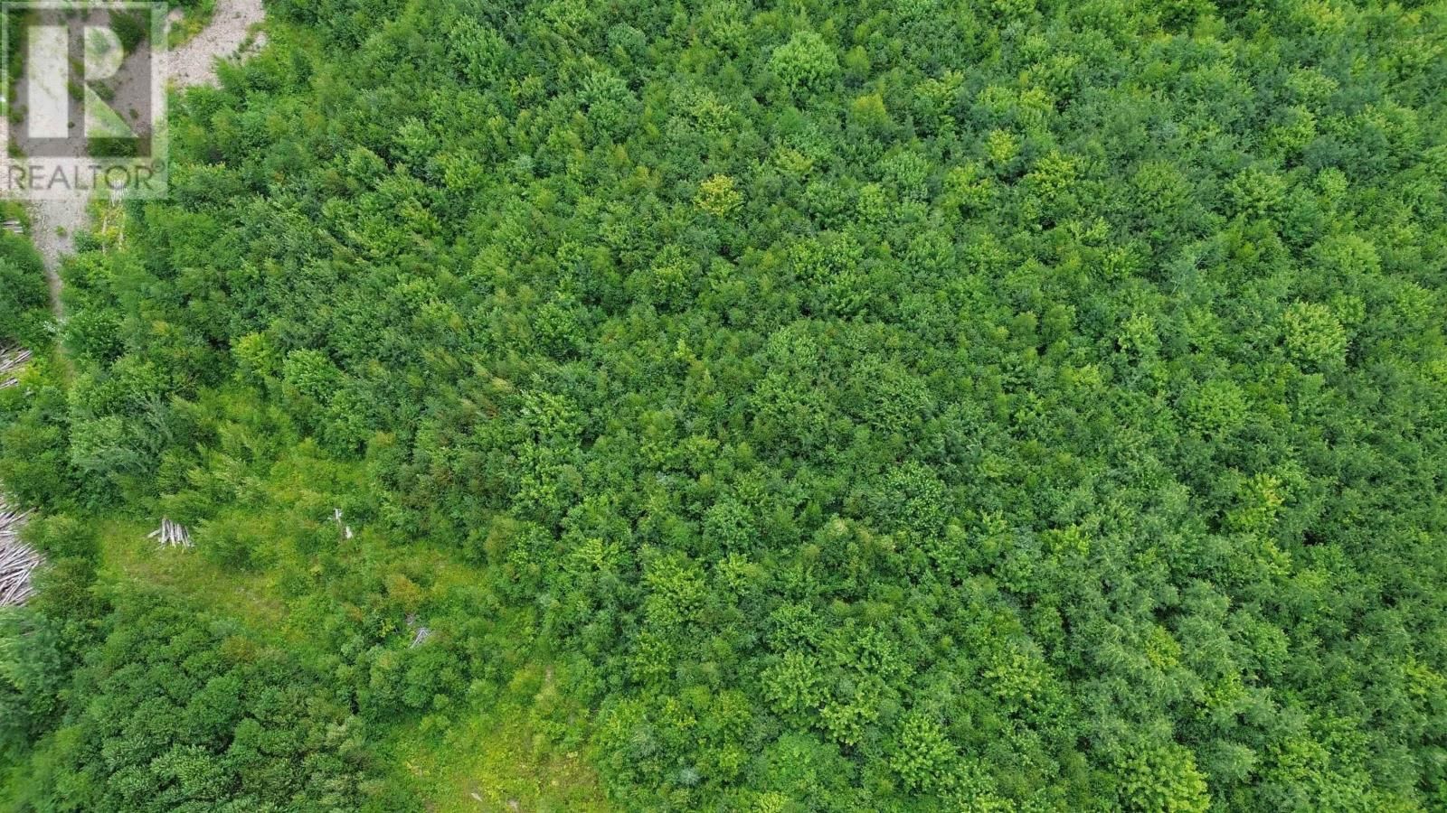 9 PECK MEADOW ROAD Image 12