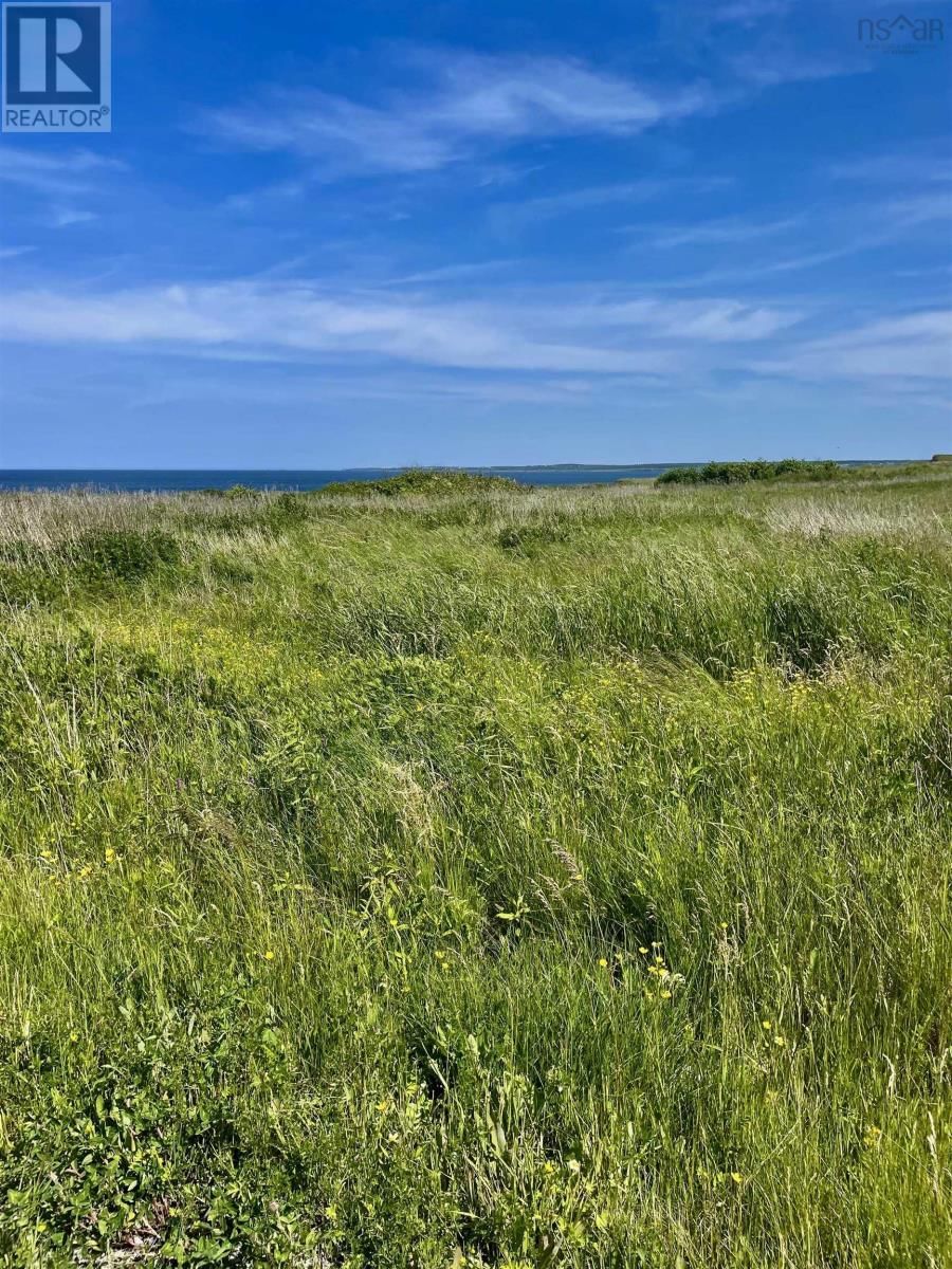 THIRD STREET Image 2