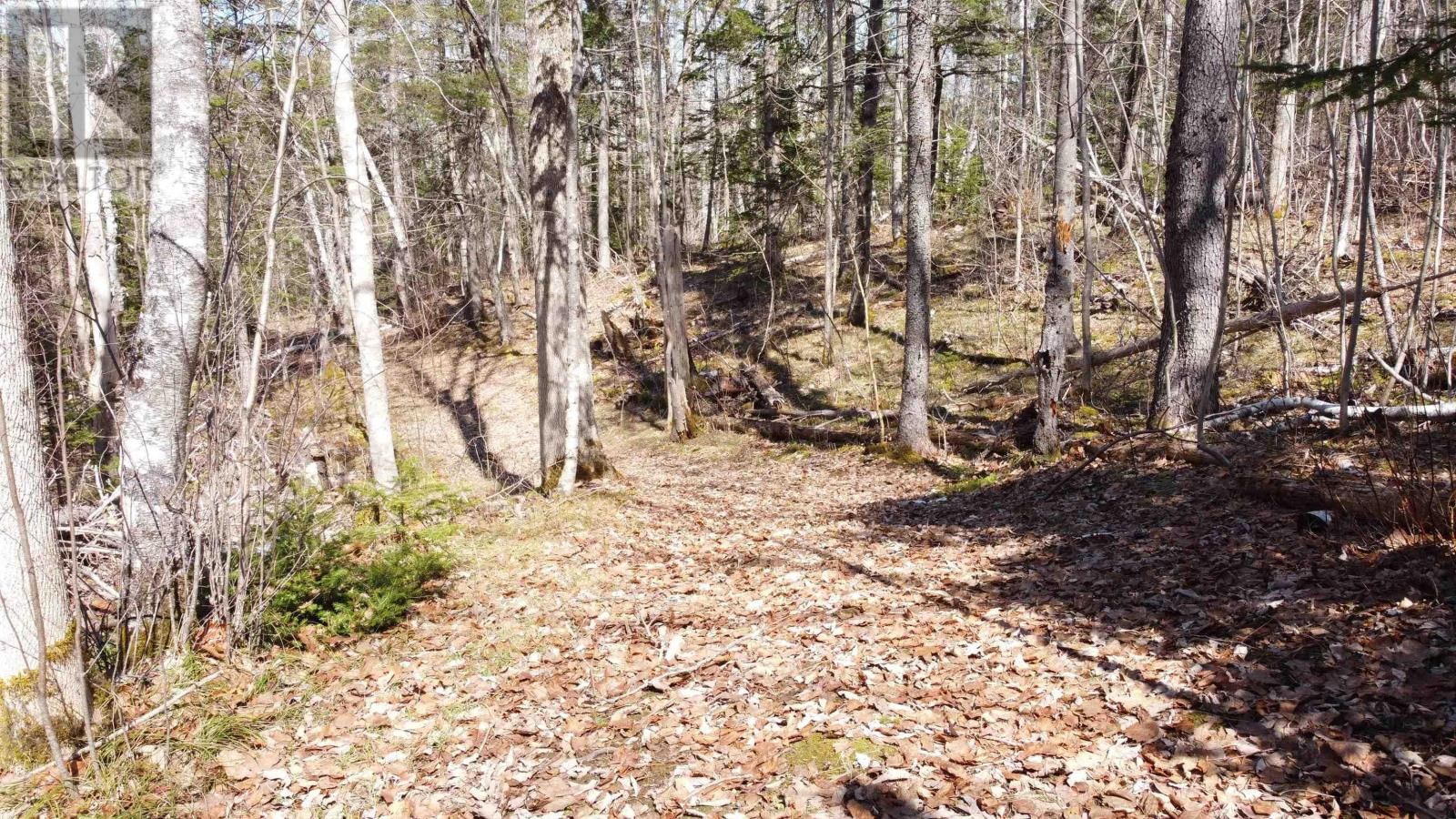 21 LOT RIVERVIEW DRIVE Image 3