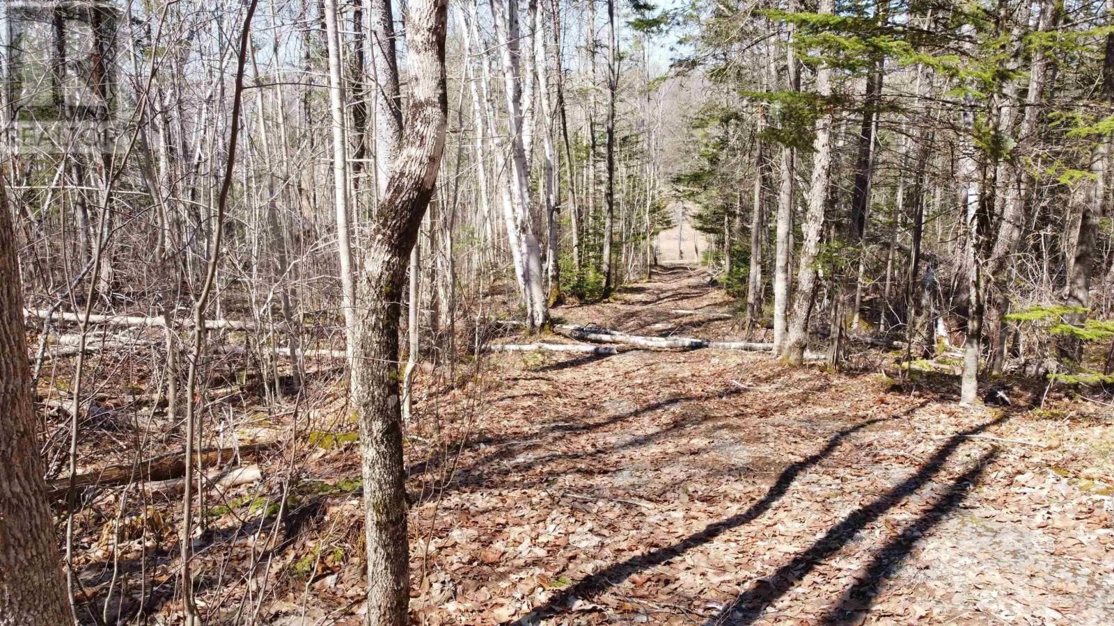 21 LOT RIVERVIEW DRIVE Image 4