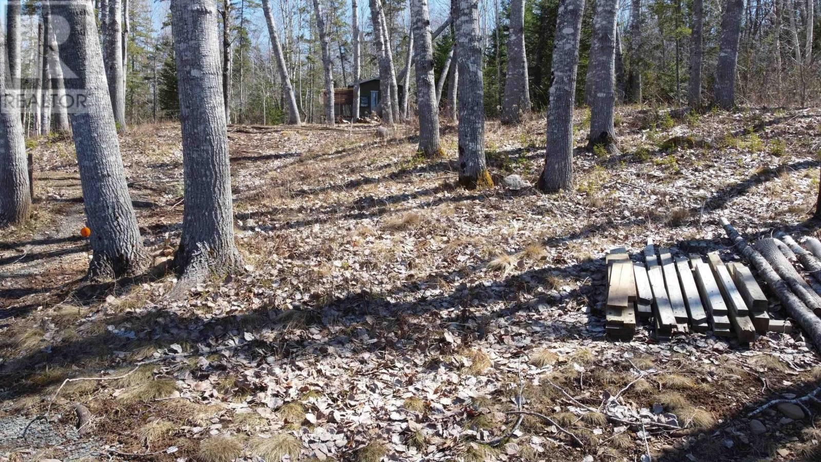 20 HAZELWOOD DRIVE Image 10