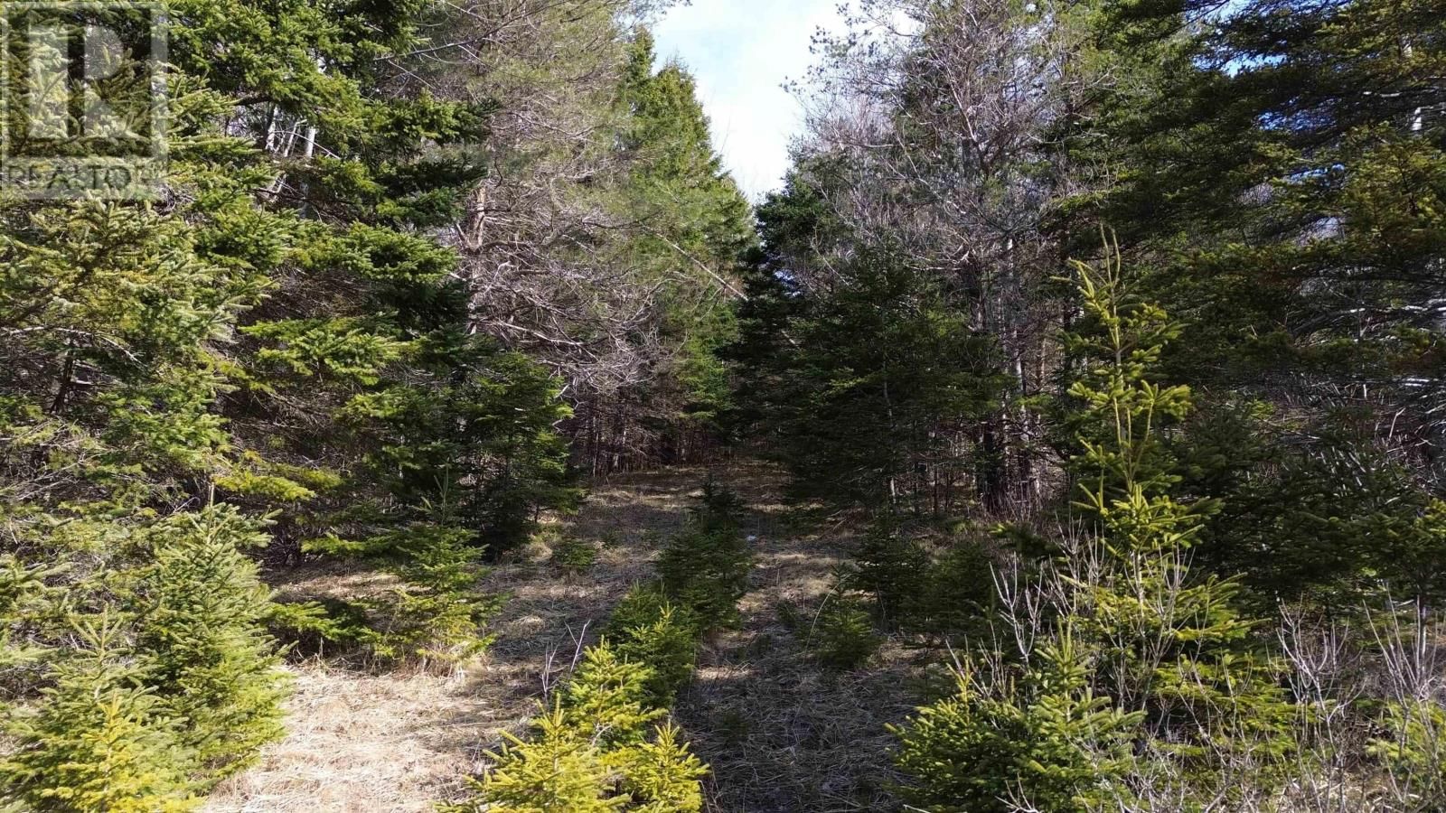 Lot 1 - 105 HIGHWAY NO Image 8