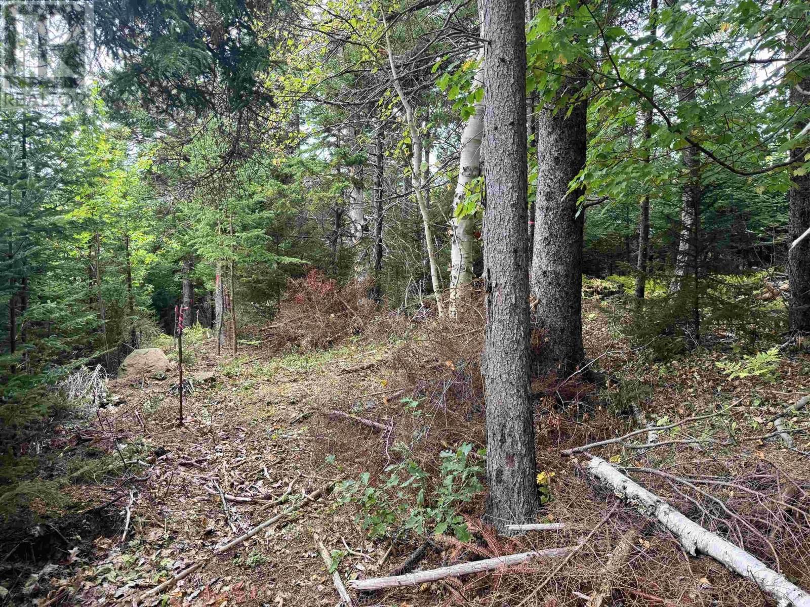 24-2 Forest Drive Extension, Pictou, Nova Scotia B0K 1H0