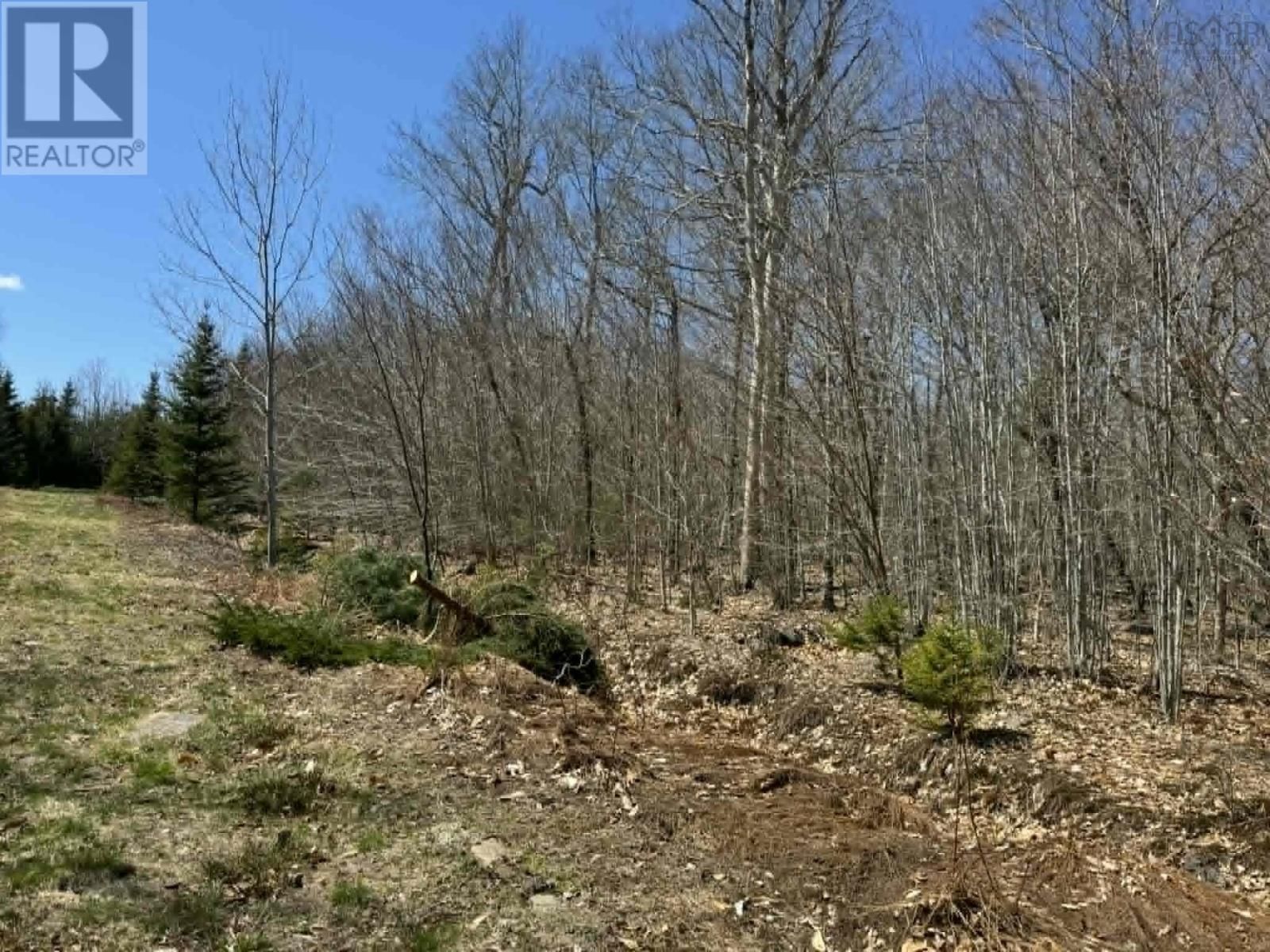 Lot R-10 Kill Dog Cove Road, Parkdale, Nova Scotia B0R 1A0