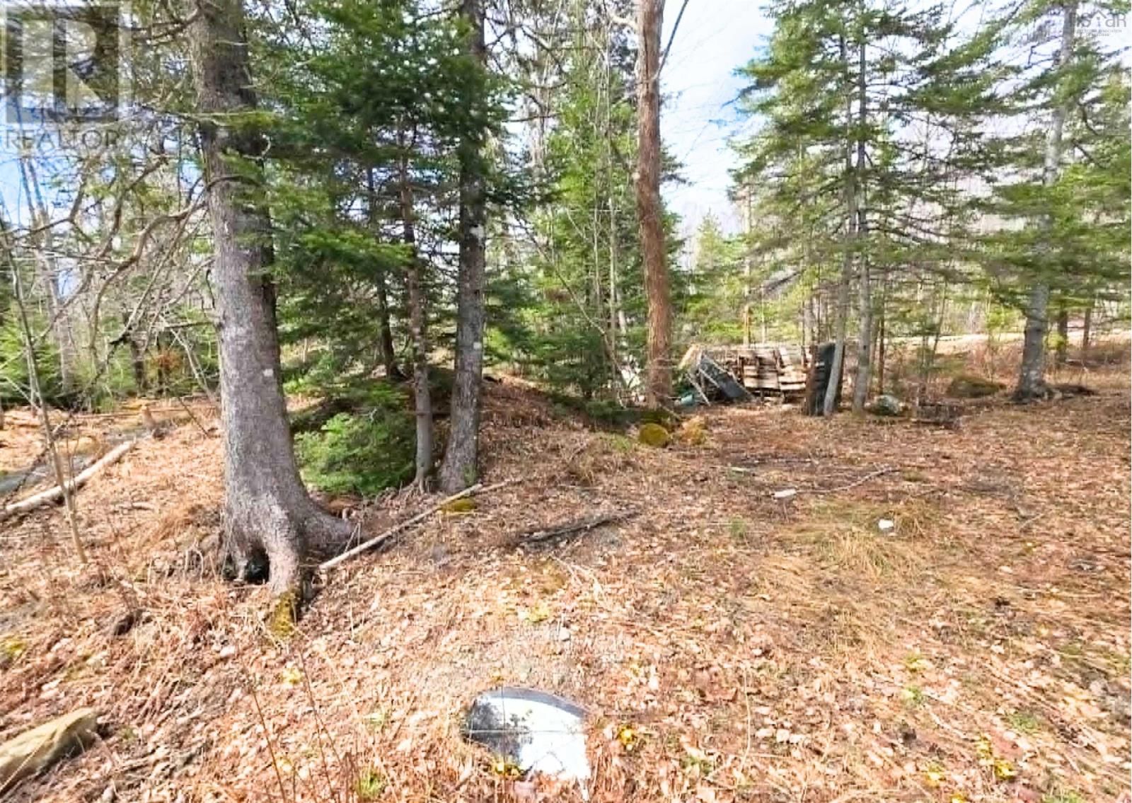  Upper Leitches Creek Road, Cape Breton, Nova Scotia B2A 1Z2