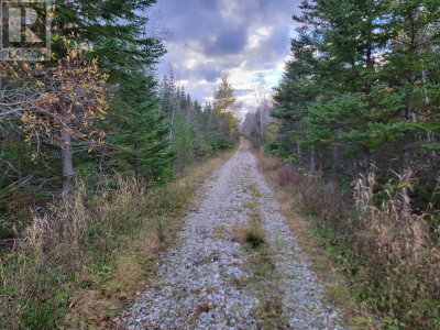 Red Point Road | Red Point Nova Scotia | Slide Image Sixteen
