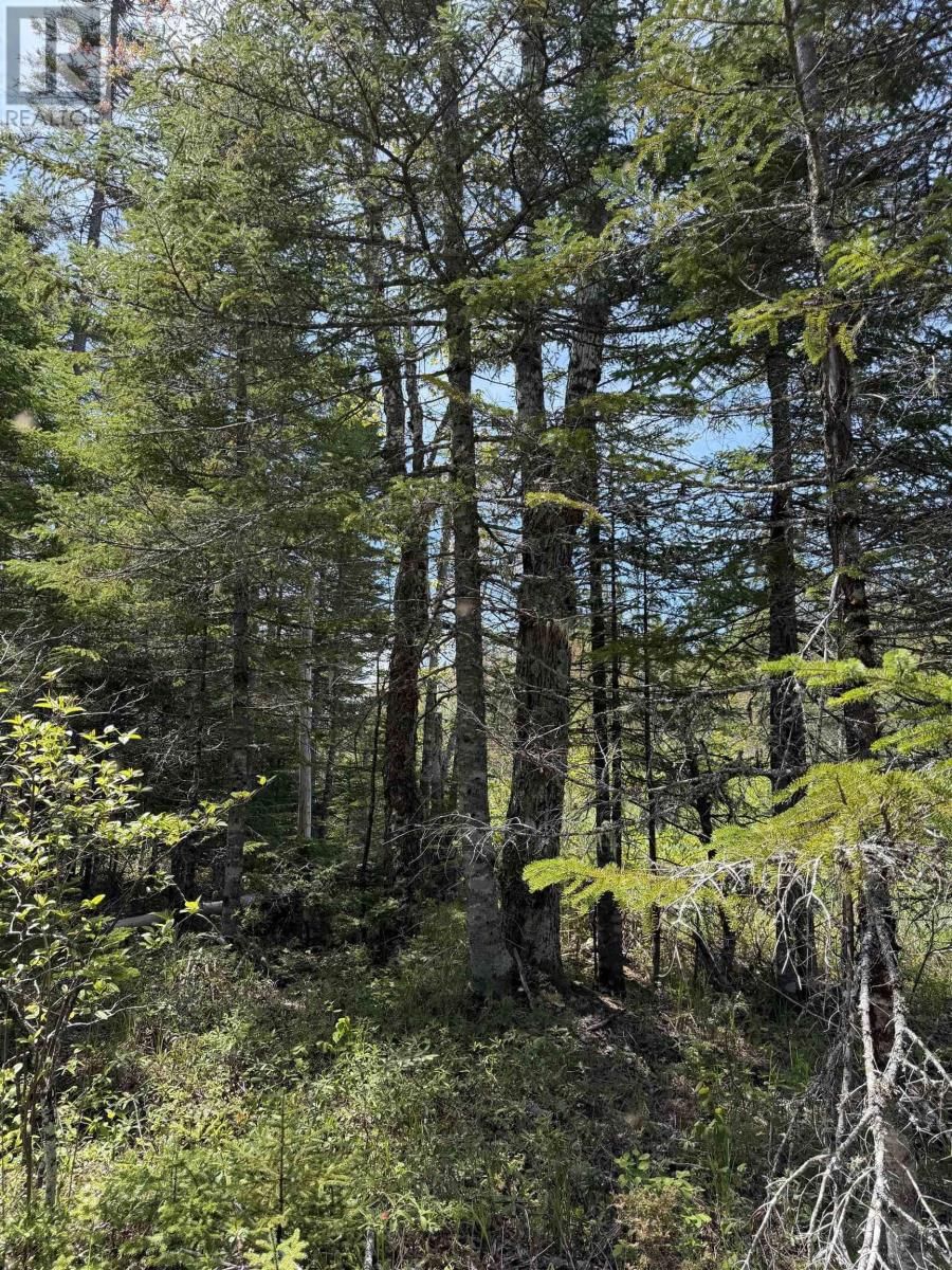 CL4 Palmer Road, West Wentworth, Nova Scotia B0M 1Z0
