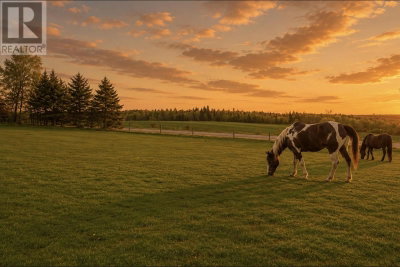 778 & 780 Dover Road | Murray River Prince Edward Island | Slide Image Two
