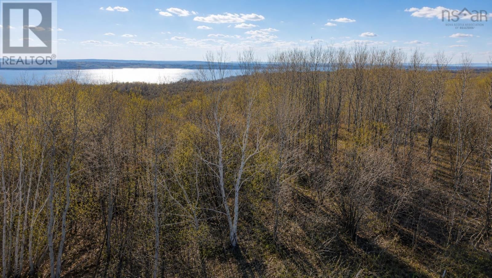 1 Cornishtown Road, South Bar, Nova Scotia B1N 3K1