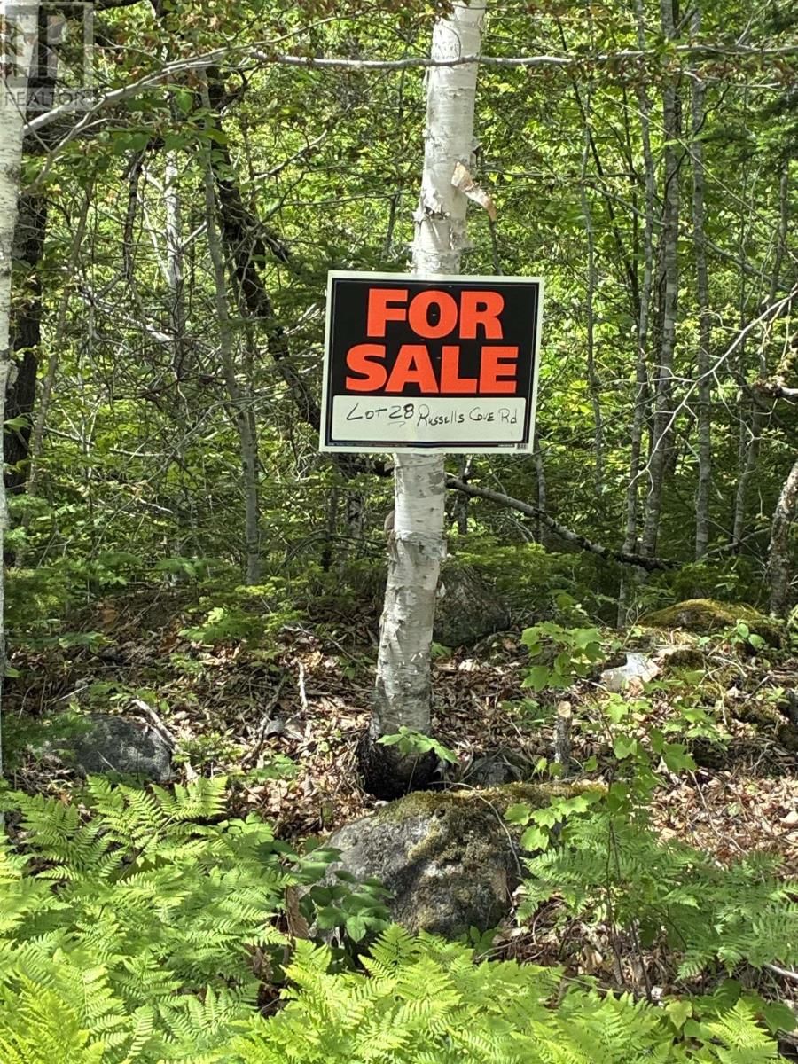28 Russells Cove Road, Parkdale, Nova Scotia B0R 1A0