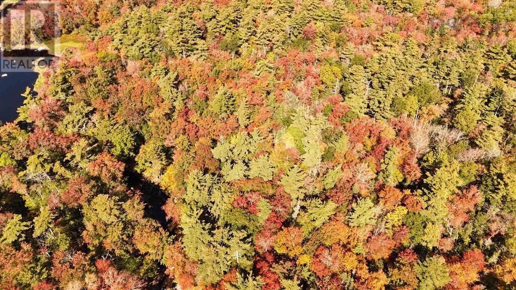 BR-1 Bowers Road, Lower Ohio, Nova Scotia B0T 1W0