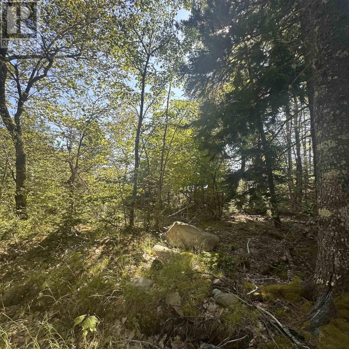  Wellington Road, Buckfield, Nova Scotia B0T 1E0