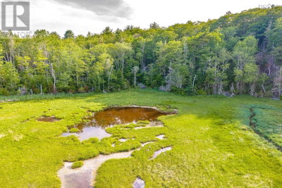 Lot 2 Jordan Branch Road | Jordan Branch Nova Scotia | Slide Image Eleven
