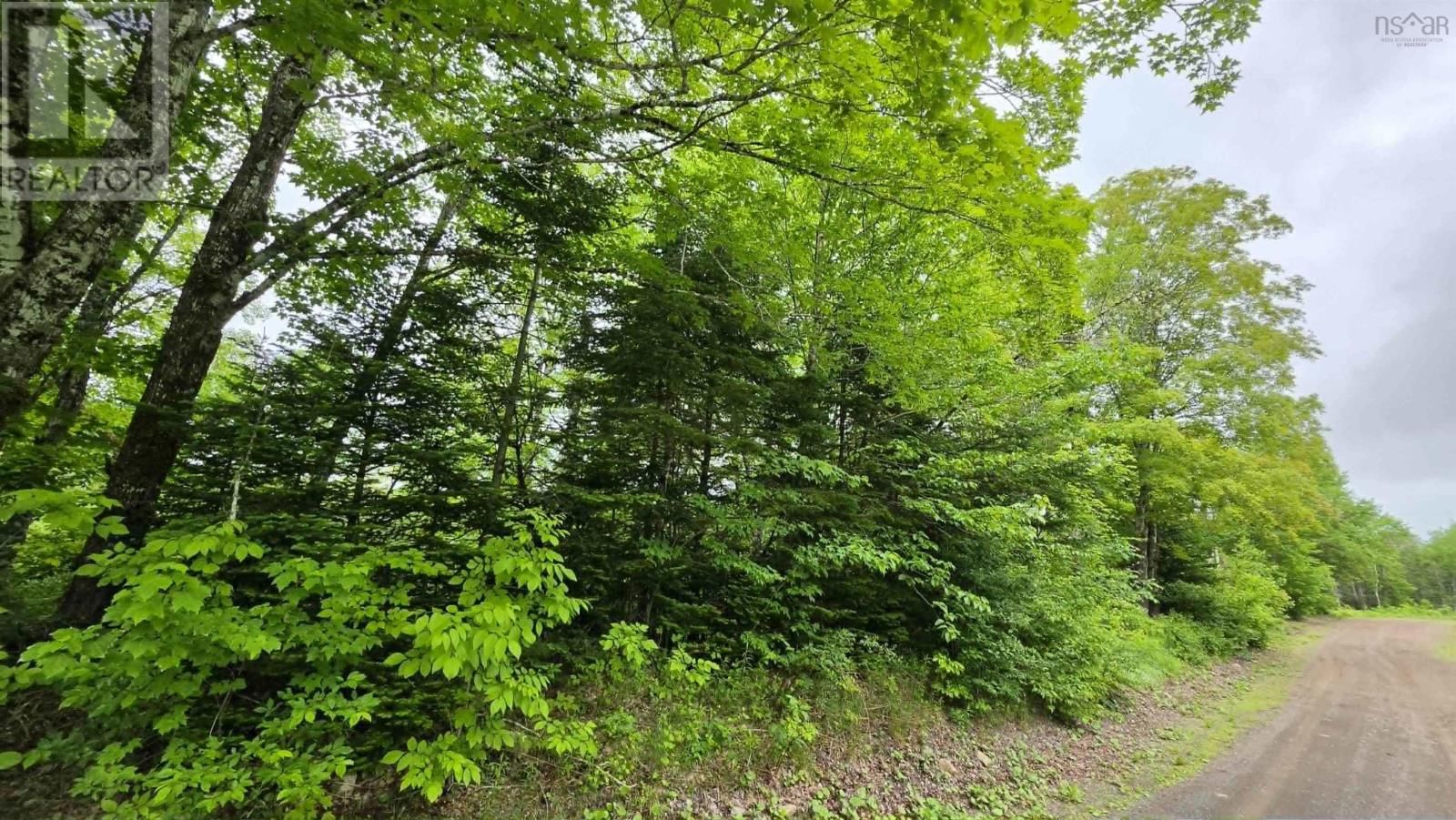  East Side Road, Upper Ohio, Nova Scotia B2G 2K8