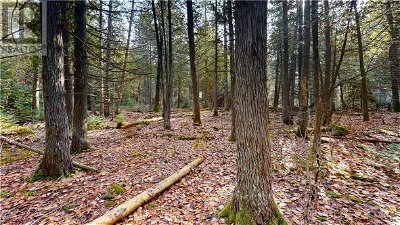 Image #1 of Commercial for Sale at 6 Sandy Point, Manitowaning, Ontario