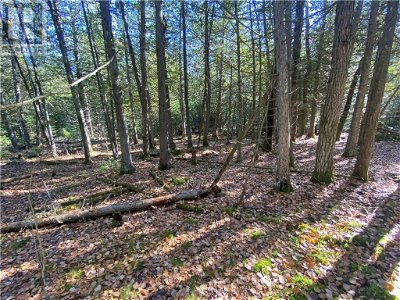 Image #1 of Commercial for Sale at 6 Sandy Point, Manitowaning, Ontario