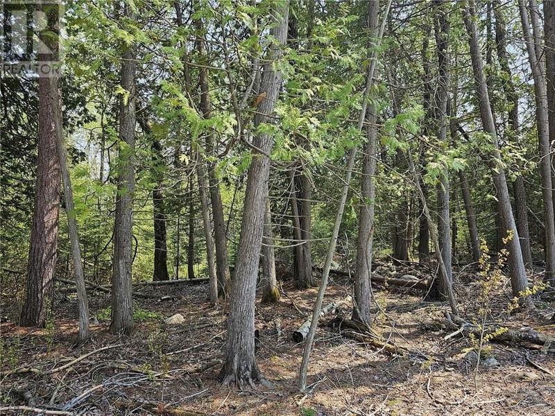 Lot 2 Sandy Point Rd  Assiginack, Manitoulin Island, P0P1N0 | Image 7