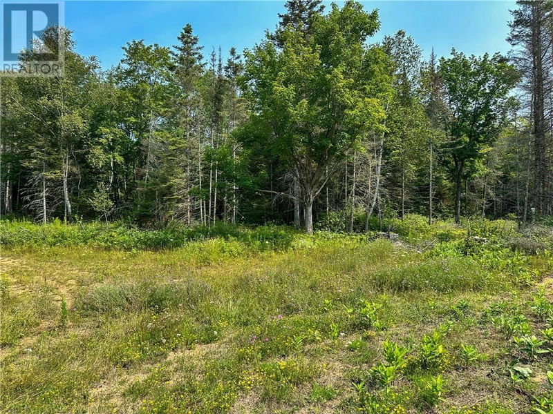 1467 The Beaver Road  Spring  Bay, Manitoulin Island, P0P2B0 | Image 73